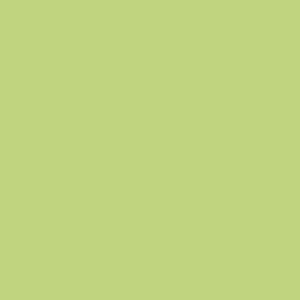 TINTA  ACRILICA FOSCA TOQUE DE KIWI COBERTEX BR 18L 062506